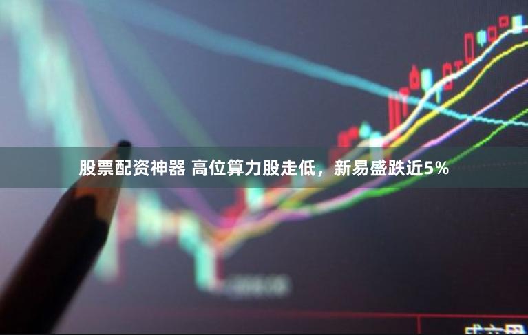 股票配资神器 高位算力股走低，新易盛跌近5%