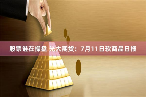 股票谁在操盘 光大期货：7月11日软商品日报